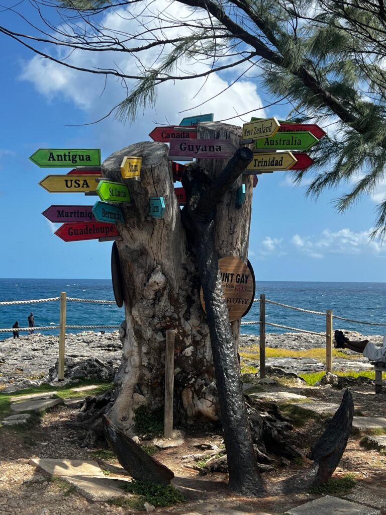 Sunny Barbados beach in February — Caribbean escape with white sand and turquoise sea