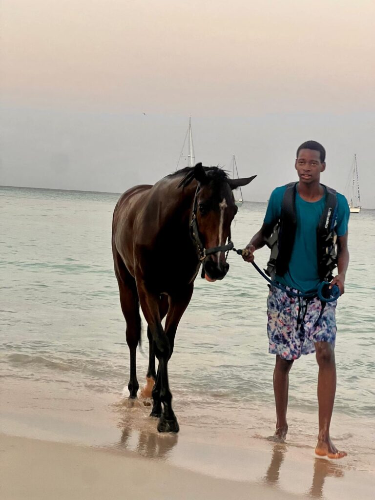 Sunny Barbados beach in February — Caribbean escape with white sand and turquoise sea