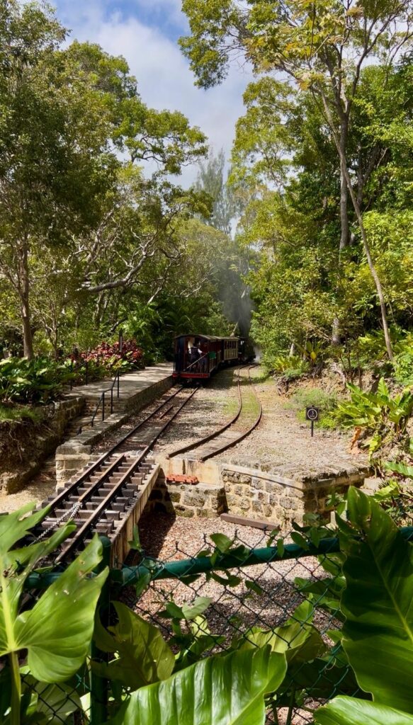Sunny Barbados beach in February — Caribbean escape with white sand and turquoise sea