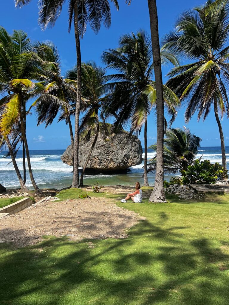Sunny Barbados beach in February — Caribbean escape with white sand and turquoise sea