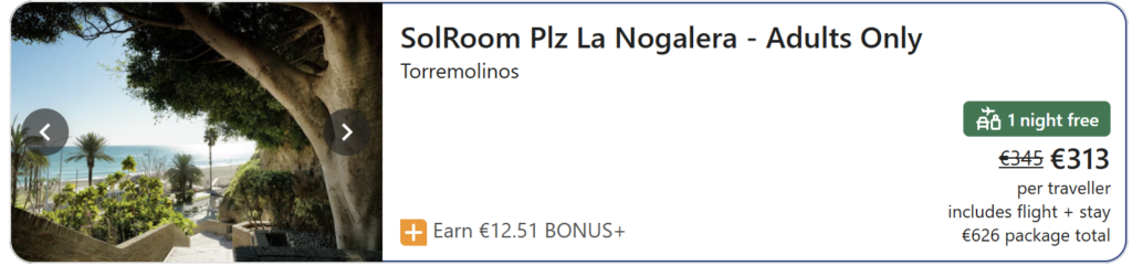 SolRoom Plz La Nogalera Adults Only viešbutis Torremolinos mieste – terasa su vaizdu į jūrą, palmės ir poilsio zona suaugusiems.