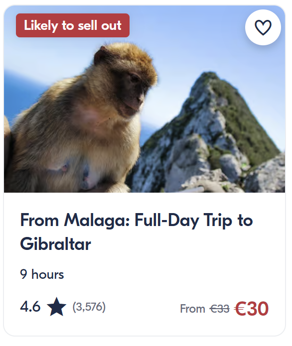 Gibraltaro dienos turas iš Malagos – Beždžionių kalnas ir vaizdai į Viduržemio jūrą.