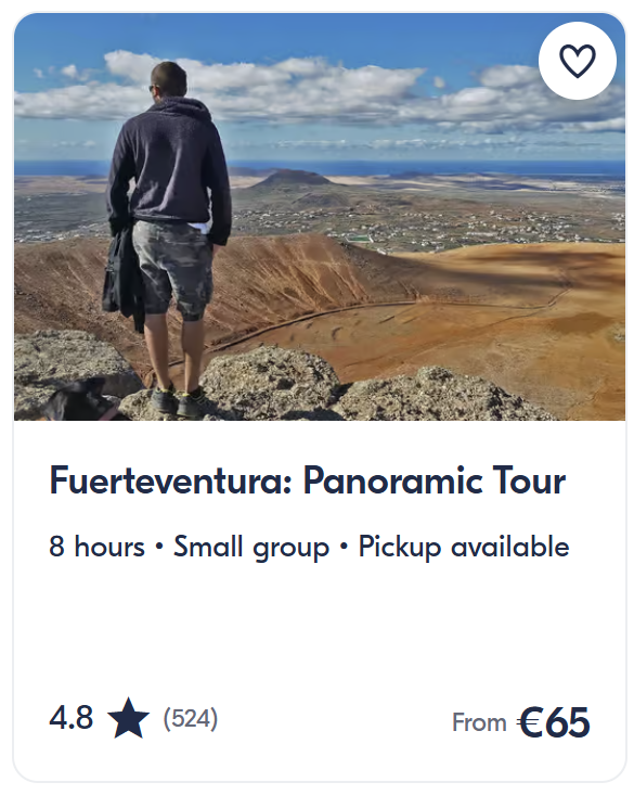 Panoramic sightseeing tour across Fuerteventura with mountain viewpoints, volcanic landscapes and coastal scenery.