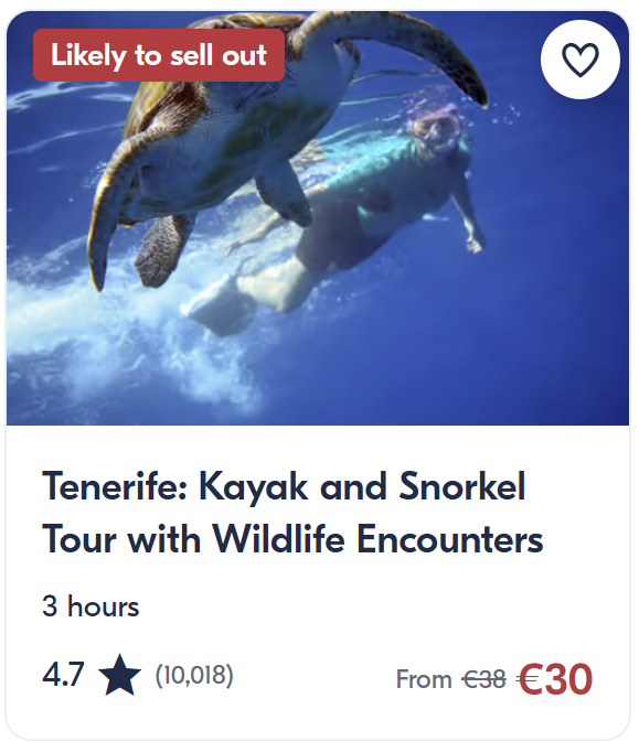 Tenerife kayak and snorkel tour with turtles and marine wildlife, ocean adventure excursion in Canary Islands.