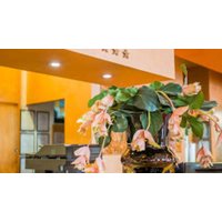 Flash Sale hotel deal